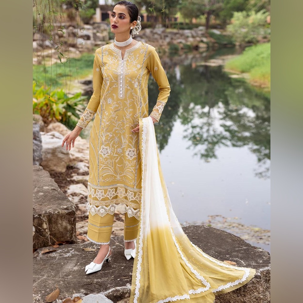 Pakistani Indian dress suit